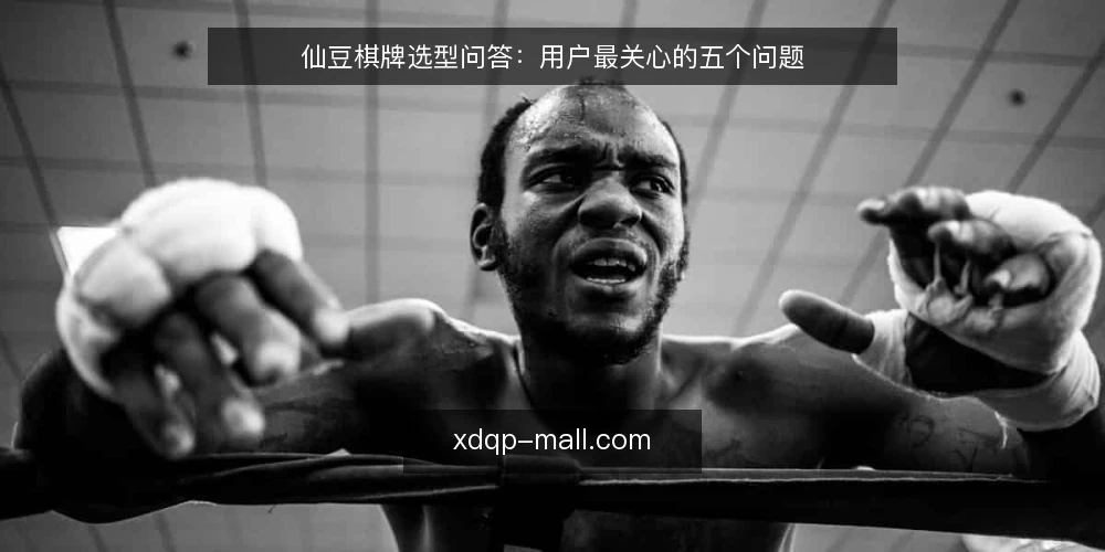 仙豆棋牌选型问答:用户最关心的五个问题 — 仙豆棋牌是什么,适合谁用? 配图