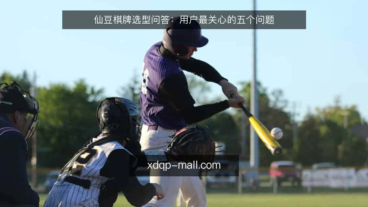 仙豆棋牌选型问答:用户最关心的五个问题