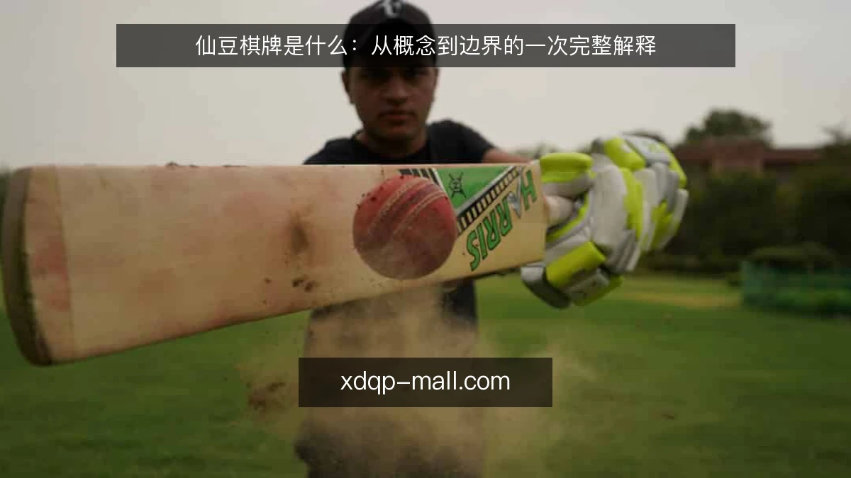 仙豆棋牌是什么：从概念到边界的一次完整解释