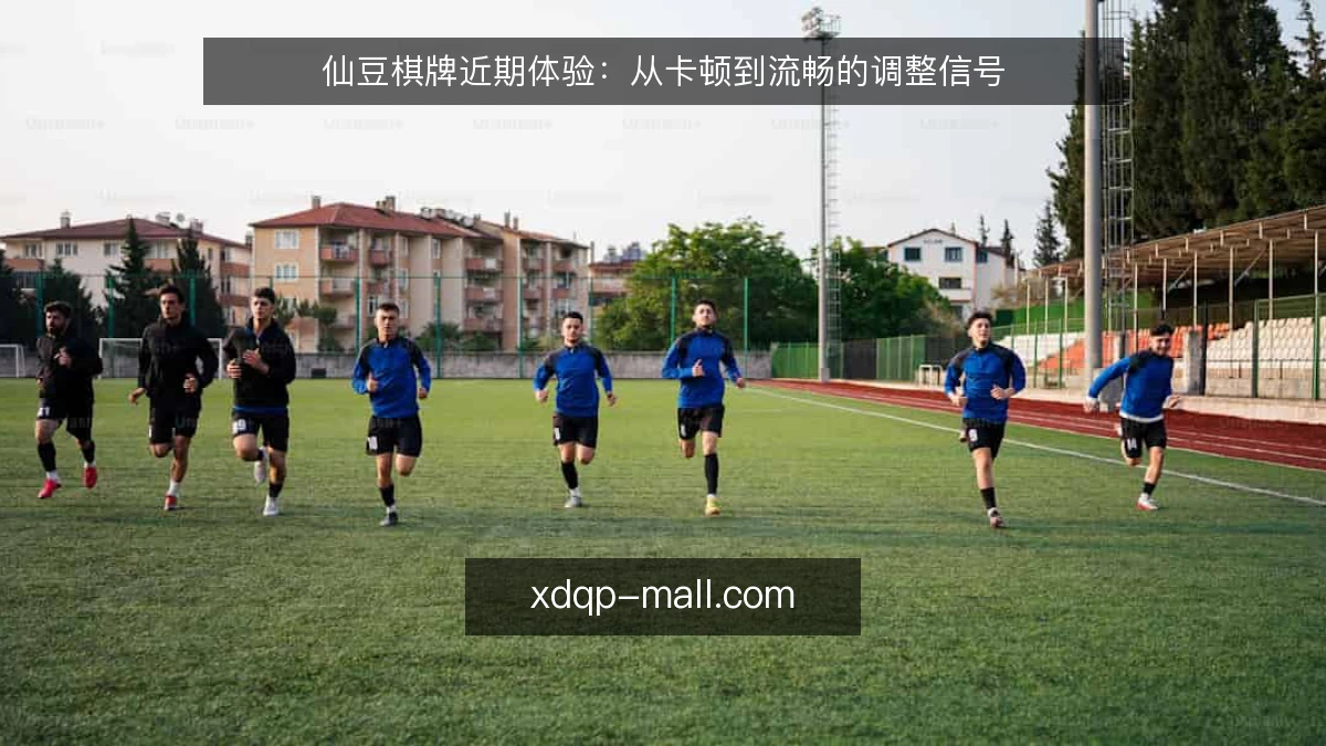 仙豆棋牌近期体验：从卡顿到流畅的调整信号