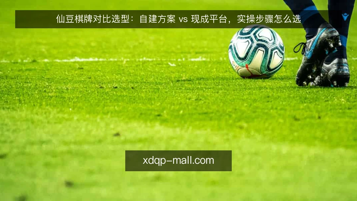 仙豆棋牌对比选型：自建方案 vs 现成平台，实操步骤怎么选
